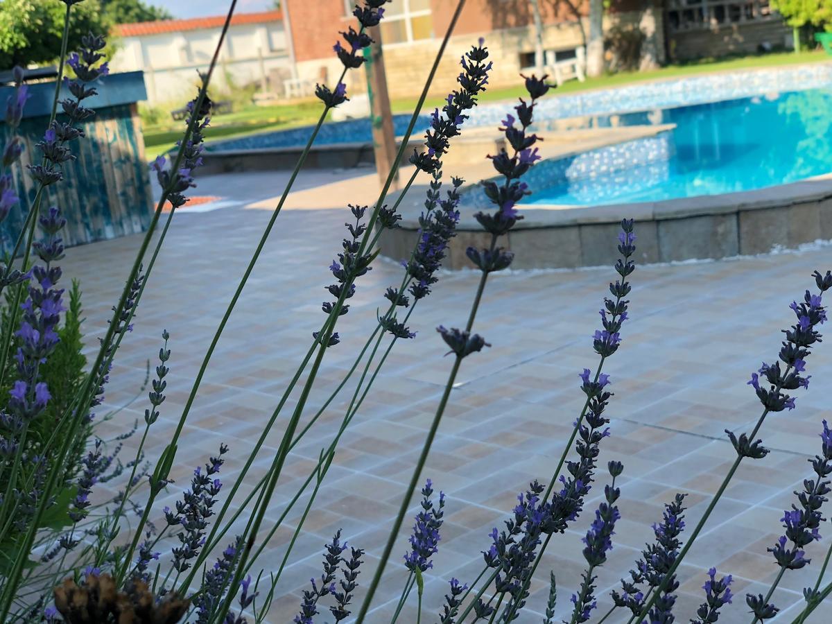 Galeria In The Garden Hotel Plovdiv Exterior photo